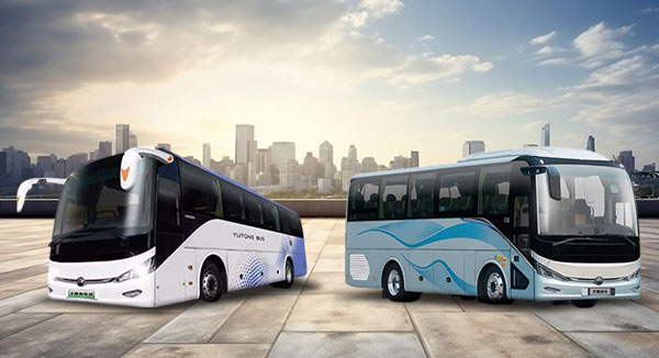 Transporte Masivo / Autobuses y Autobuses